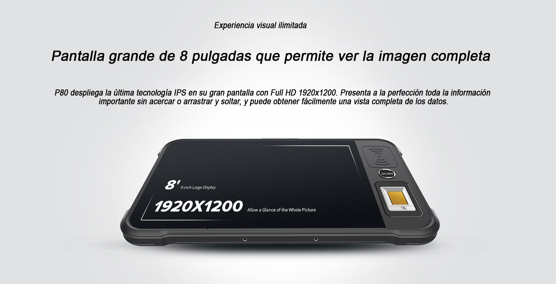 TABLET INDUSTRIAL P80 PANTALLA